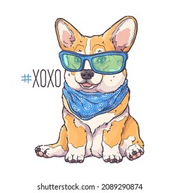 Portrait of the funny Corgi dog with blue glasses and bandana. Hashtag xoxo - lettering quote. Cute dog puppy for posters, postcards, t-shirt prints. Vector hand drawn style illustration.