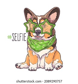 Portrait of the funny Corgi dog with green star glasses and bandana. Hashtag Selfie - lettering quote. Cute dog puppy for posters, postcards, t-shirt prints. Vector hand drawn style illustration.