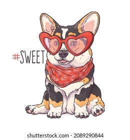 Portrait of the funny Corgi dog with red hearts glasses and bandana. Hashtag Sweet - lettering quote. Cute dog puppy for posters, postcards, t-shirt prints. Vector hand drawn style illustration.