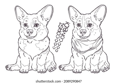 Portrait of the funny Corgi dogs with and without bandana. Line art of the dog couple. Cute dog puppies for posters, postcards, t-shirt prints. Vector hand drawn style illustration.