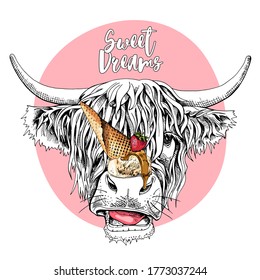 Portrait of the funny Cow (Hairy Coo) with Ice Cream and Strawberry. Humor card, t-shirt composition, hand drawn style print. Vector illustration.