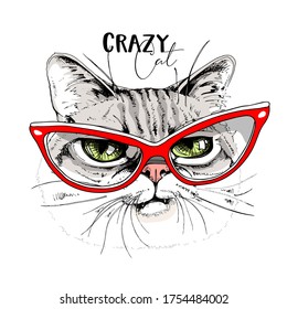 Portrait of the funny crazy cat in the red glasses. Humor card, t-shirt composition, meme, hand drawn style print. Vector illustration.