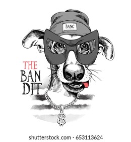 Portrait of a funny dog in a Bandit mask, Knitted Cap, striped black and white t-shirt with dollar pendant . Vector illustration.