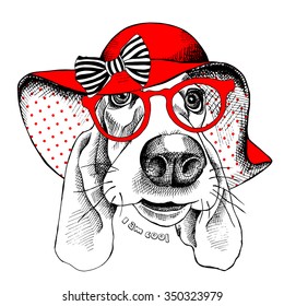 Portrait of a funny dog Basset Hound in glasses wearing red summer sun hat with bow. Vector illustration.