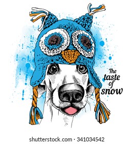 Portrait of a funny dog in blue owl hat with ear flaps. Vector illustration.