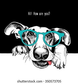 Portrait of a funny dog in glasses. Vector illustration.