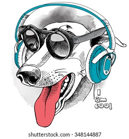 Portrait of a funny dog Greyhound wearing blue headphones and with sunglasses. Vector illustration.