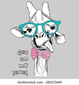 Portrait of a funny giraffe in pink striped tie with sunglasses. Vector illustration.