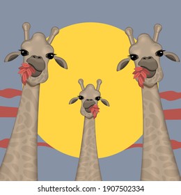 Portrait of funny giraffes. Animal character vector illustration.