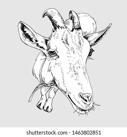 Portrait of a Funny Goat with horns. Humor card, t-shirt composition, hand drawn style print. Vector black and white illustration.