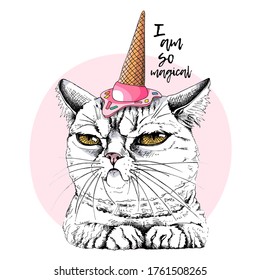 Portrait Of The Funny Grumpy Cat In The Pink Ice Cream Party Hat. Humor Card, T-shirt Composition, Hand Drawn Style Print. Vector Illustration.