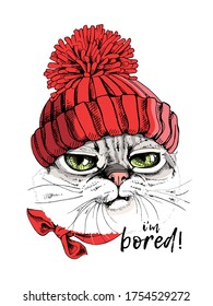 Portrait of the funny Grumpy cat in the red Knitted hat with pompom. Humor card, t-shirt composition, hand drawn style print. Vector illustration.