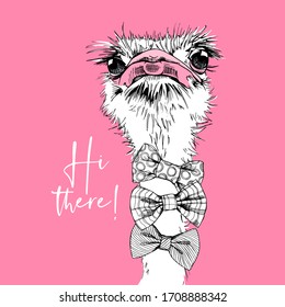 Portrait of a Funny Ostrich in a bow ties on a pink. Hi there - lettering quote. Humor card, t-shirt composition, hand drawn style print. Vector illustration.