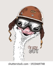 Retrato del Gracioso Ostrich en el casco de los ciclistas retro y en gafas. Tarjeta de humor, composición de camisetas, impresión a mano. Ilustración vectorial.