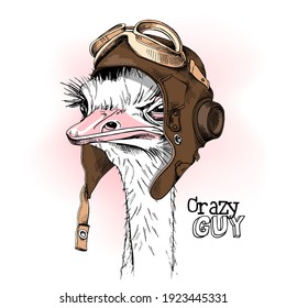 Retrato del Ostrich Funny en el casco de aviador de cuero retro y con un gafas. Tarjeta de humor, composición de camisetas, impresión a mano. Ilustración vectorial.