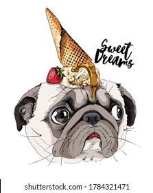 Portrait of the funny Pug dog with Ice Cream. Sweet dreams - lettering quote. Humor card, t-shirt composition, hand drawn style print. Vector illustration.