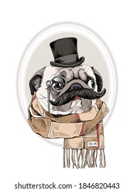 Portrait of the funny Pug dog with a mustache in the gentleman top hat, checkered scarf and with monocle. Humor card, t-shirt composition, hand drawn style print. Vector illustration.