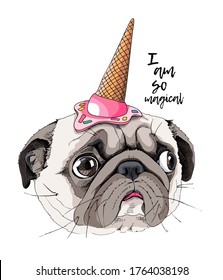Portrait of a funny Pug dog in the pink Ice cream party hat. Humor card, t-shirt composition, hand drawn style print. Vector illustration.