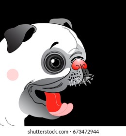 Portrait of a funny pug little on a dark background