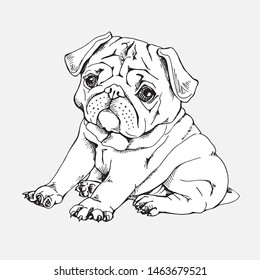 Portrait of a Funny Puppy pug. Humor card, t-shirt composition, hand drawn style print. Vector black and white illustration.