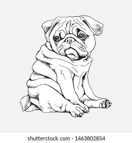 Portrait of a Funny Puppy pug. Humor card, t-shirt composition, hand drawn style print. Vector black and white illustration.