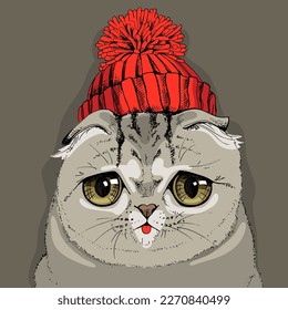 Retrato del gracioso gato triste en el sombrero rojo con pompom. Plegar en Escocia. Tarjeta de humor, composición de camisetas, meme, impresión a mano. Ilustración vectorial.