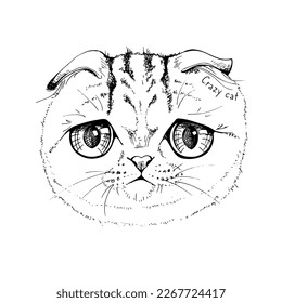 Portrait of the funny sad cat. Scottish Fold. Humor card, t-shirt composition, meme, hand drawn style print. Vector illustration.