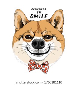 Porträt des lustigen Shiba Inu Hundes in der roten Punktbogenschlinge. Humorkarte, T-Shirt Komposition, handgezeichneter Stildruck. Vektorgrafik.