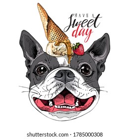 Portrait of the funny smiling Boston Terrier dog with Ice Cream. Have a sweet day - lettering quote. Humor card, t-shirt composition, hand drawn style print. Vector illustration.