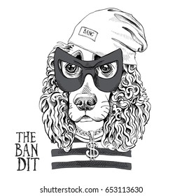 Portrait of a funny Spaniel in a Bandit mask, Knitted Cap, striped black and white t-shirt with dollar pendant . Vector illustration.