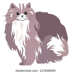 Retrato de gatito pelado con bigotes largos y pelo. gato aislado de mascota doméstica de animales felinos con curiosidad y sentado quieto. Curioso bozal de gatito. Vector de estilo plano