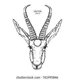 Portrait of a gazelle. Can be used for printing on T-shirts, flyers and stuff. Vector illustration