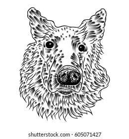 Portrait of German Shepher. Hand drawn dog illustration. T- shirt and tattoo concept design in black white. Vector.