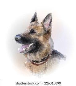 portrait of the german shepherd dog