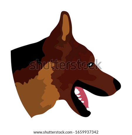 Portrait of German Shepherd dog had vector illustration isolated. Beware of dog. Guardian dog