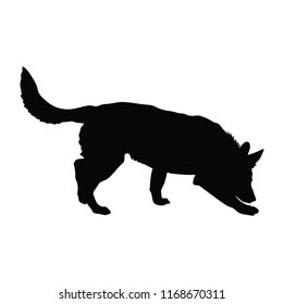 Portrait of German Shepherd dog vector illustration isolated. German Shepherd beware of dog.