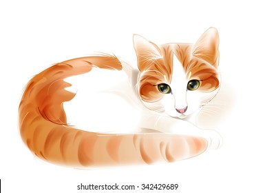 portrait of the ginger cat