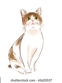 portrait of  ginger tabby cat
