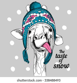 Portrait of a giraffe in blue winter hat with ear flaps. Vector illustration.