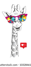 Portrait of a Giraffe in a bright coloring glasses. Vector illustration.