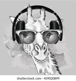 Portrait of giraffe with glasses and headphones. Vector illustration