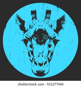 Portrait of Giraffe. Hand drawn illustration. Vector