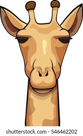 Portrait of a giraffe isolated on white background