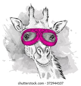 Portrait of a giraffe in motorcycle glasses. Vector illustration