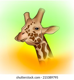 Portrait of a giraffe. Vector illustration.