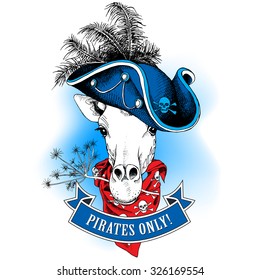 Portrait of a Giraffe wearing blue pirate hat and red neckerchief with images of skull. Vector illustration.