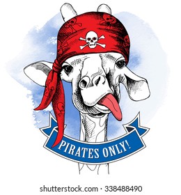 Portrait of a giraffe wearing a red pirate bandana with image of a skull on blue background. Vector illustration.