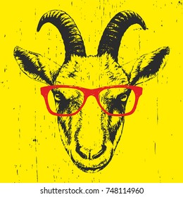  Portrait of Goat with glasses, hand-drawn illustration, vector
