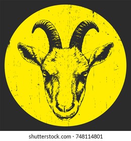  Portrait of Goat, hand-drawn illustration, vector
