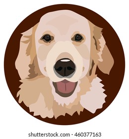 Portrait of a Golden Retriever
